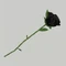 Zzzzz 1704155756img0086 — All gtag cosmetics option 42