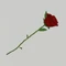 Zzzzz 1704155756img0093 — All gtag cosmetics option 49