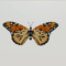 Zzzzz 1704155756img0108 — All gtag cosmetics option 64