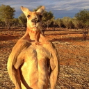 Zzzzz 1703978743roo — Duker Society People option 84