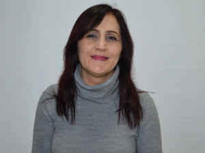 K04114846gularpa — Afl Hoca option 17