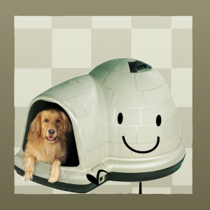 Zzzzz 1749575952untitled320250610114215 — a whole lot of object show characters (2000+) (BFDI/II/ONE) option 2037
