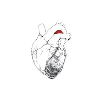 346560 The Beggar1235 — 2023 Albums (225 Albums!!) option 3