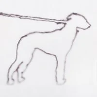 552097 Portrait Of A Dog — 2023 Albums (225 Albums!!) option 22