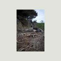 580488 Five Easy Hot Dogs — 2023 Albums (225 Albums!!) option 51