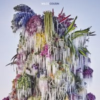 716328 Cousin0040 — 2023 Albums (225 Albums!!) option 189