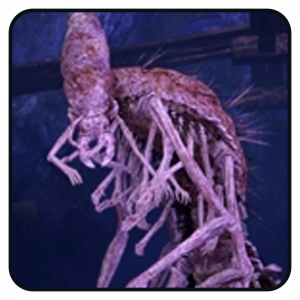 Zzzzz 1740354776kindredofrot — Elden Ring Builds option 26