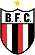 Botafogofutebolcluberibeiropretologo2021 — Times do Futebol brasileiro (Série A,B,C e alguns da D) option 19