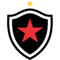 Botafogopblogo — Times do Futebol brasileiro (Série A,B,C e alguns da D) option 20
