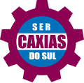 Sercaxiasdosulsvg — Times do Futebol brasileiro (Série A,B,C e alguns da D) option 63