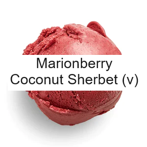 https://tiermaker.com/images//media/template_images/2024/16451798/salt-and-straw-flavors---2023-16451798/zzzzz-1701651608marionberry-cocount-sherbet-v.png