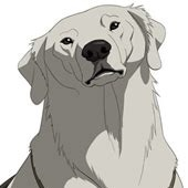 Img8111 — atla / tlok character tier list option 54