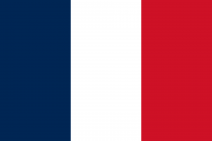 Zzzzz 1732666888flagoffrancesvg 4 — The Century War IV Tier List option 41