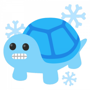 Cold — Turtle Emoji Tierlist option 7