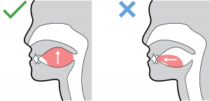 Tongue Posture Diagram Edited — Gen Alpha Brain Rot option 13