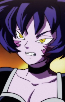 The ULTIMATE Dragon Ball Female Characters — option 57