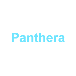 Image 11 11 — Type Soul Elements option 18