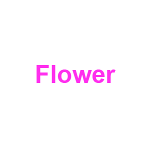 Image 5 — Type Soul Elements option 32