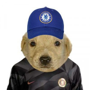 Perro Chelsea — TW Premier League 1.0 (By Kfeuzz) option 44