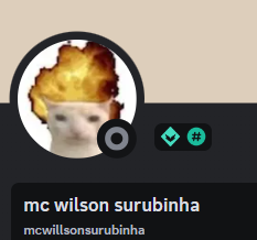 Surubinha — tierlistando meus manos option 19