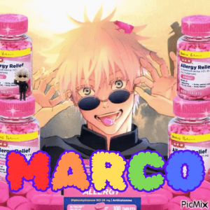 Zzzzz 1711670697marco — beehive tierlist maker option 24