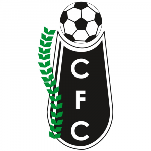 Zzzzz 17879354131e270f3aca54a516406a6094a7fe2062 — Todos los Equipos del Fútbol Argentino option 206