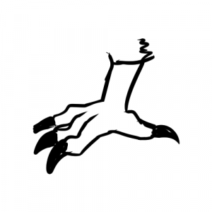 Garion Paws 02 Avian — Furry Paw Categories/Types option 2