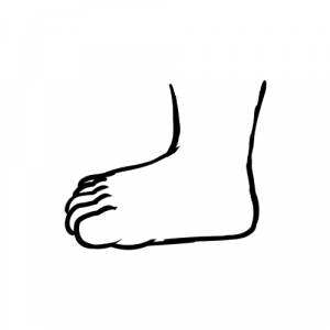 Garion Paws 04 Humanoid — Furry Paw Categories/Types option 4