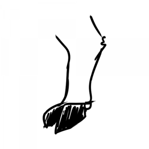 Garion Paws 06 Hoof2 — Furry Paw Categories/Types option 6
