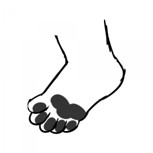 Garion Paws 08 Beans — Furry Paw Categories/Types option 8