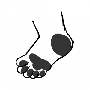 Garion Paws 10 Beans — Furry Paw Categories/Types option 10