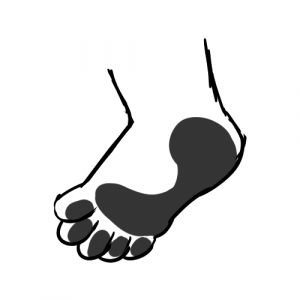 Garion Paws 11 Beans — Furry Paw Categories/Types option 11