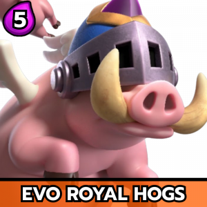 Zzzzz 1769777583evo Royal Hogs — All Clash Royale Cards - [Hero Barbarian Barrel] option 59