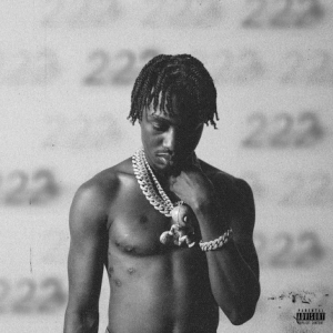 37fa0ec7a8c84796094306c475d33d83738x738x1 — 2023 Hip-Hop Albums option 12