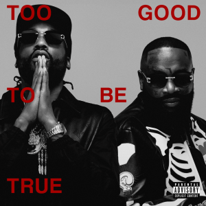 64014a10b721cdb29f73da5f267f71171000x1000x1 — 2023 Hip-Hop Albums option 26