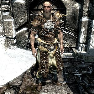 300px Sr Npc Brunwulffree Winter — Skyrim NPCs option 24
