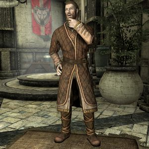 300px Sr Npc Falkfirebeard — Skyrim NPCs option 46