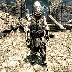 300px Sr Npc Knight Paladingelebor — Skyrim NPCs option 73