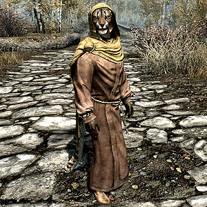 300px Sr Npc Maiqtheliar — Skyrim NPCs option 80