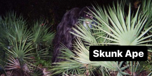 0a898fae 20cf 4e47 9f4b 85d3f5244190 — Cryptids 101 option 3