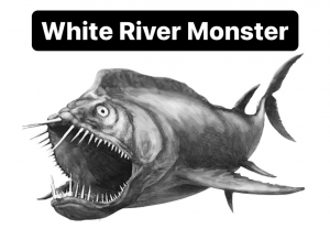 1e926f7f C942 431b Bd65 9b899f587df6 — Cryptids 101 option 7