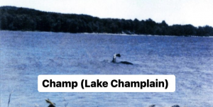 3835ea35 87c6 4120 B229 0ab2e763264d — Cryptids 101 option 12