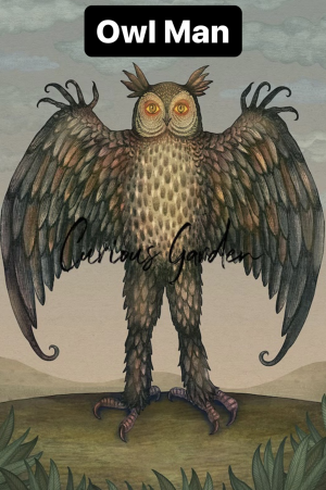 3bc403c8 2cc5 4618 9529 29a393abcf40 — Cryptids 101 option 15
