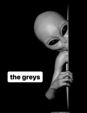 8822f51f 18af 4a6e Ae76 C36b145377c2 — Cryptids 101 option 34