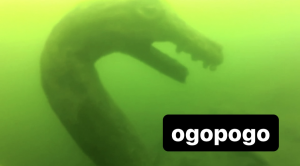 C5c709ba 3e44 44a0 A45a 40f8e1f9f2af — Cryptids 101 option 42