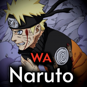 Zzzzz 1725935351img7684 — Naruto TL V4 option 9