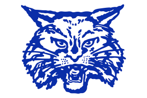 Zzzzz 1757786839img0995 — UIL Texas High School Football Teams option 218