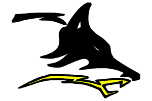 Zzzzz 1757786839img1003 — UIL Texas High School Football Teams option 224