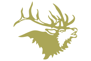 Zzzzz 1757786842img1062 — UIL Texas High School Football Teams option 283