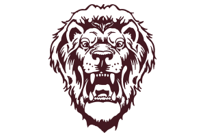 Zzzzz 1757786842img1067 — UIL Texas High School Football Teams option 287